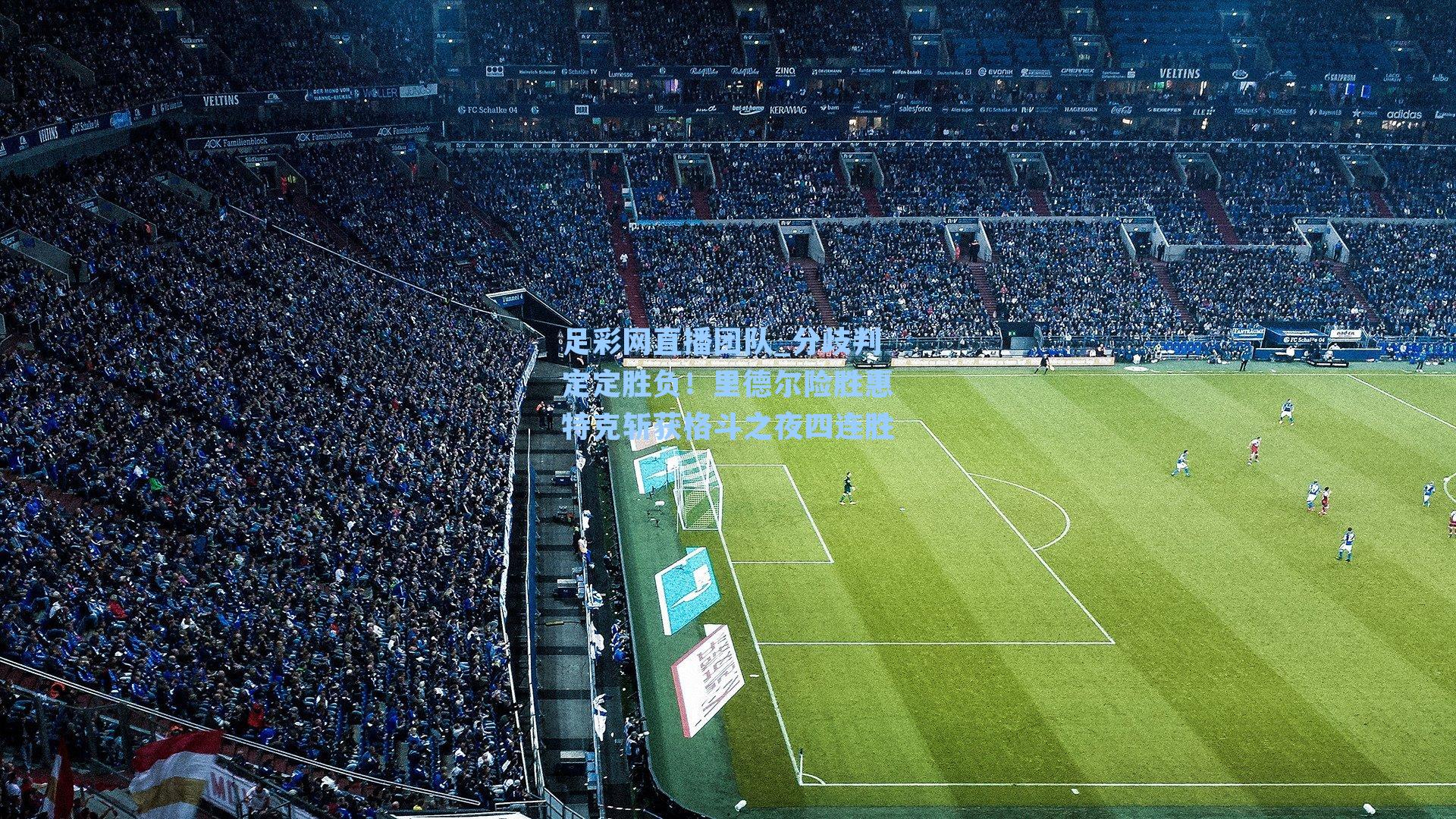 分歧判定定胜负！里德尔险胜惠特克斩获格斗之夜四连胜