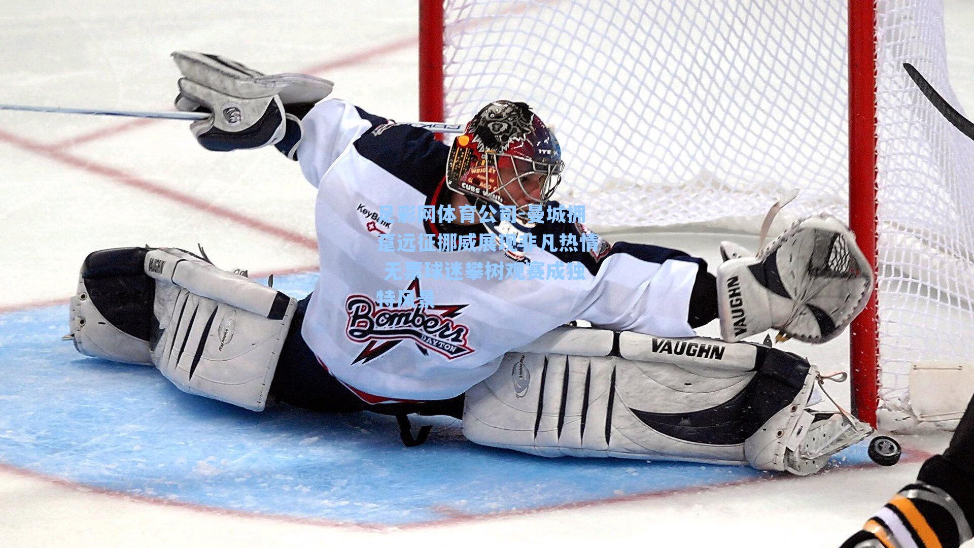 曼城拥趸远征挪威展现非凡热情 无票球迷攀树观赛成独特风景