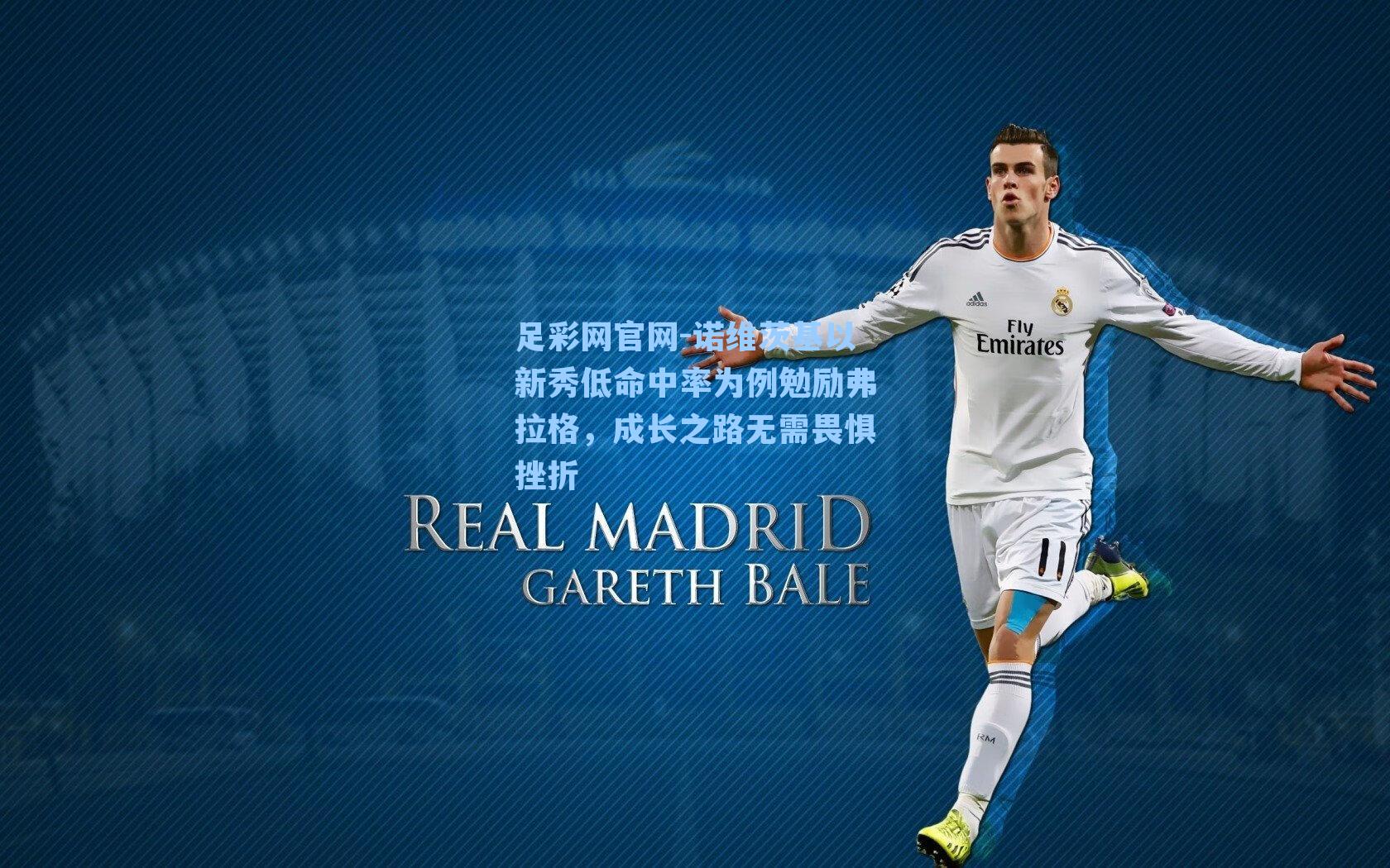 诺维茨基以新秀低命中率为例勉励弗拉格，成长之路无需畏惧挫折