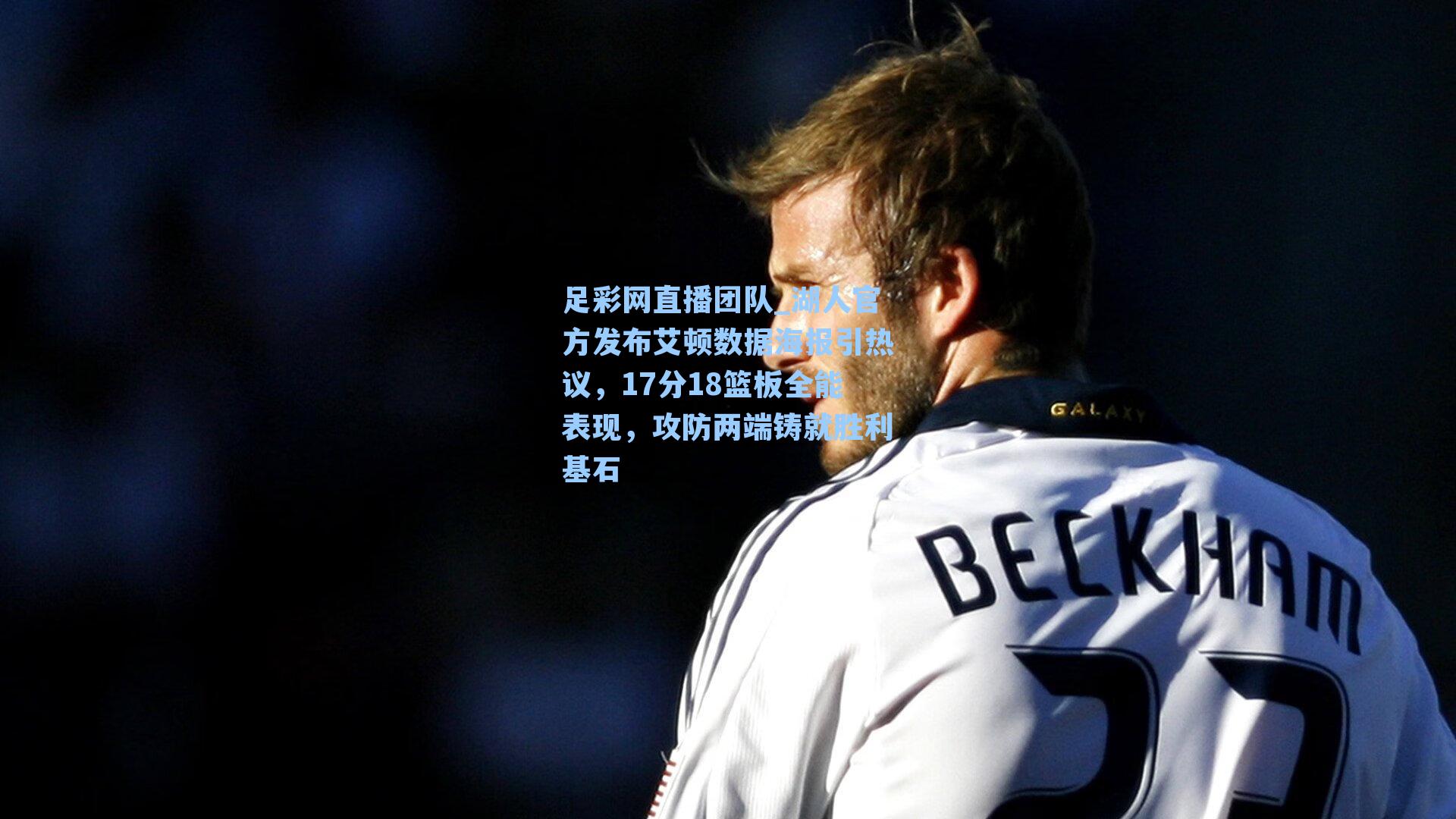 湖人官方发布艾顿数据海报引热议,17分18篮板全能表现,攻防两端铸就胜利基石