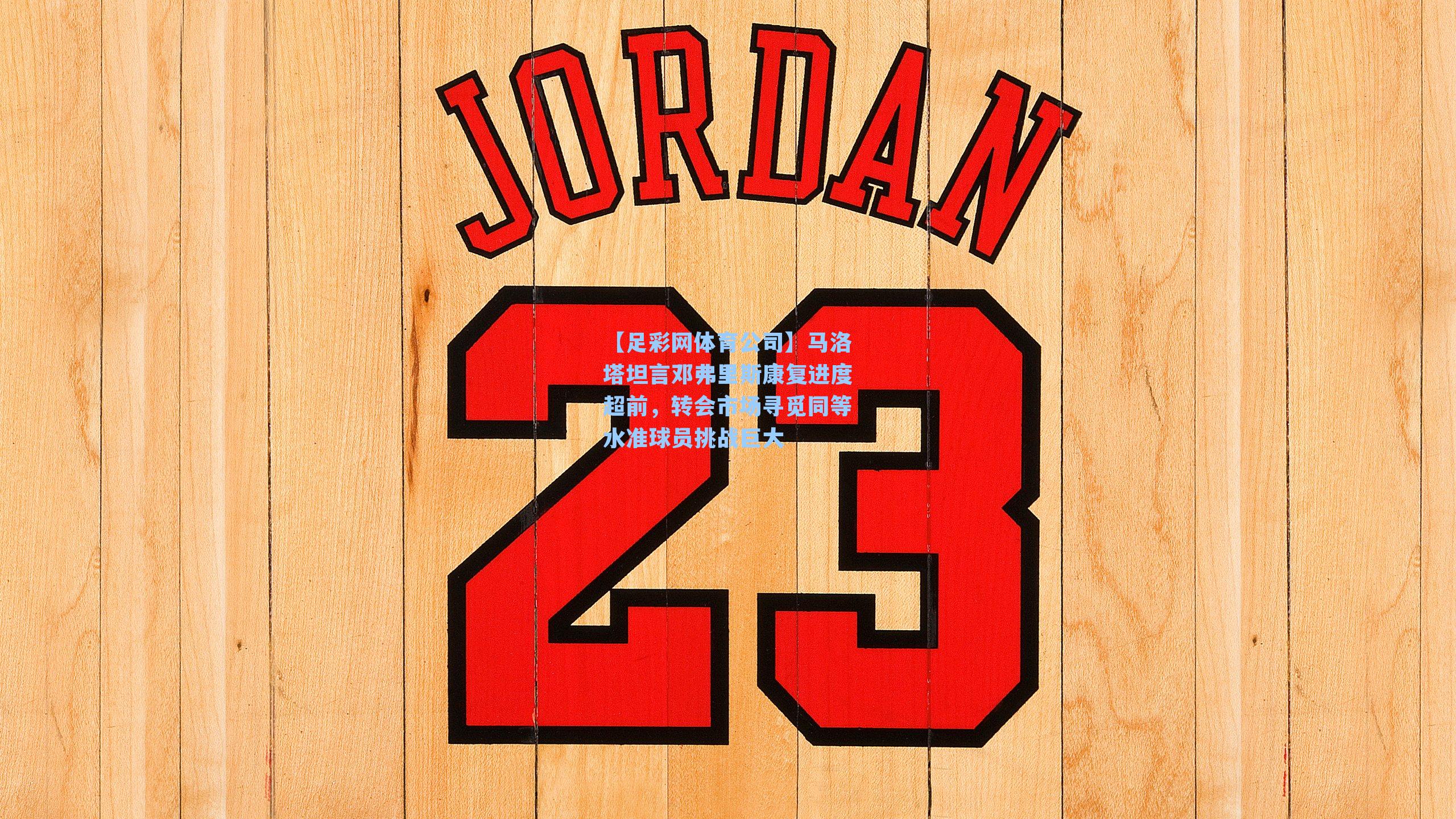 马洛塔坦言邓弗里斯康复进度超前，转会市场寻觅同等水准球员挑战巨大